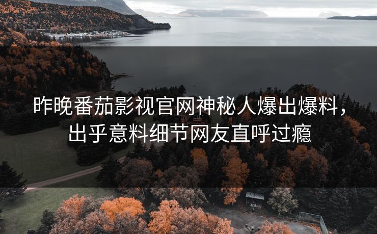 昨晚番茄影视官网神秘人爆出爆料，出乎意料细节网友直呼过瘾