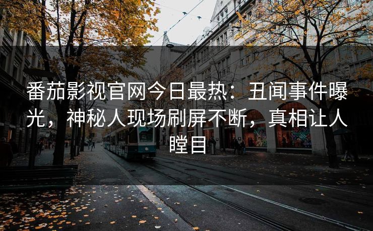 番茄影视官网今日最热：丑闻事件曝光，神秘人现场刷屏不断，真相让人瞠目