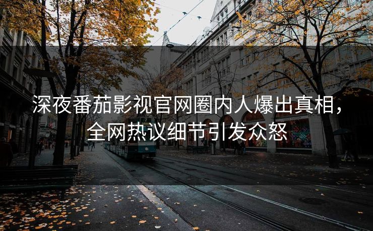 深夜番茄影视官网圈内人爆出真相，全网热议细节引发众怒