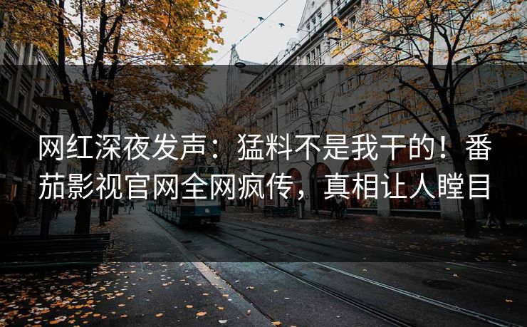 网红深夜发声：猛料不是我干的！番茄影视官网全网疯传，真相让人瞠目