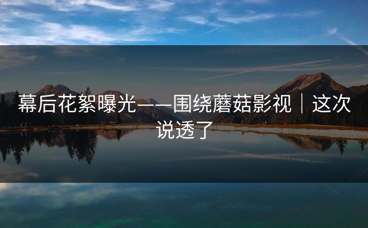 幕后花絮曝光——围绕蘑菇影视|这次说透了 幕后花絮曝光——围绕蘑菇影视|这次说透了